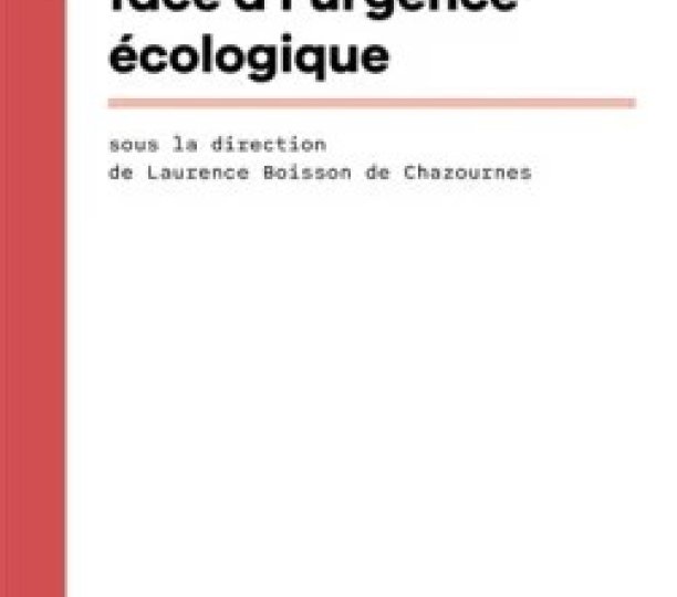 La contribution des juridictions internationales à l’application effective du droit international de l’environnement