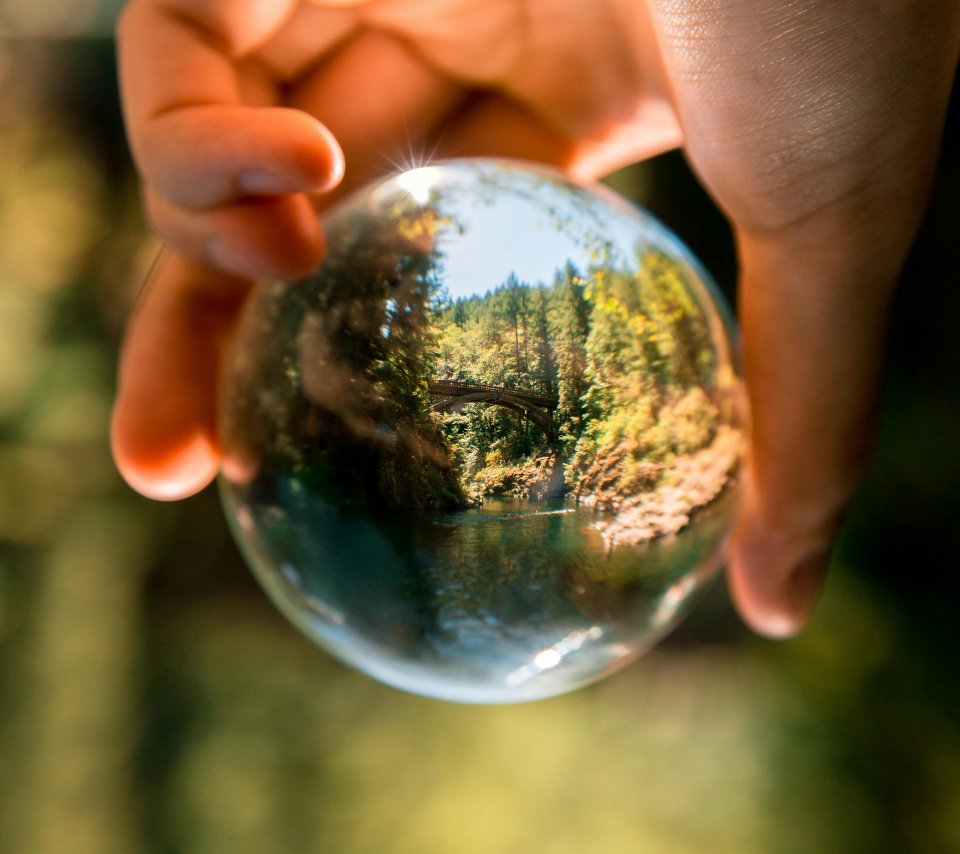 Une main tient une boule de verre dans laquelle se reflète une forêt