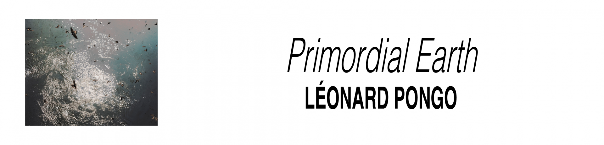 primordial earth leornard pongo