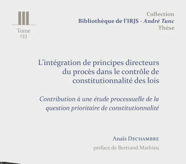 L'intégration de principes directeurs du procès dans le contrôle de constitutionnalité des lois